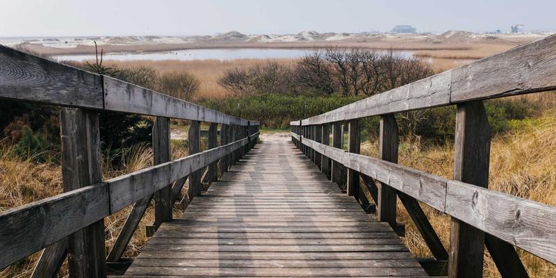 WWWSC99A48：构建您的数字效率中枢 | 实用工具资源导航全解析