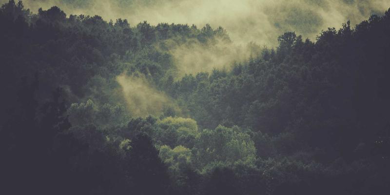 WWWSC99A5资源索引：打造温馨网站的核心指南