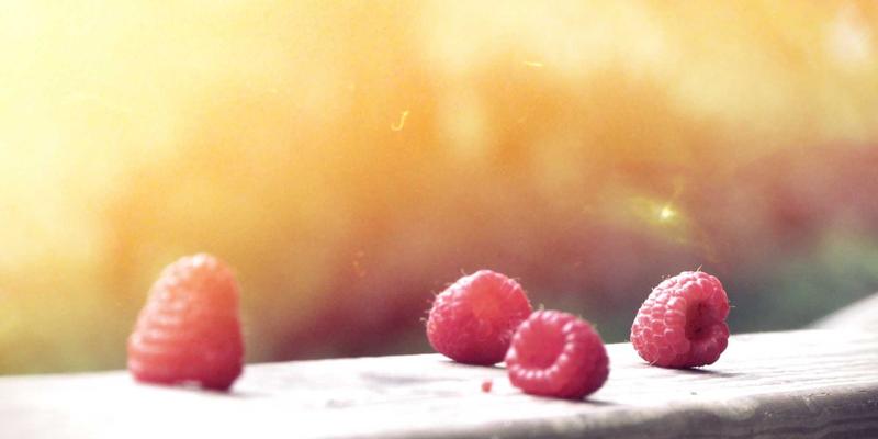 WWWSC99A65深度解析：一站式实用工具资源索引指南