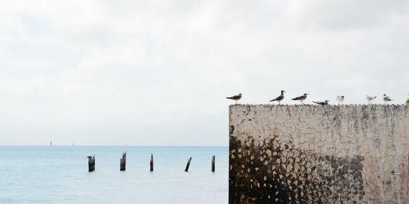 WWWSC99A66：打造温馨网站，汇聚综合信息的数字家园