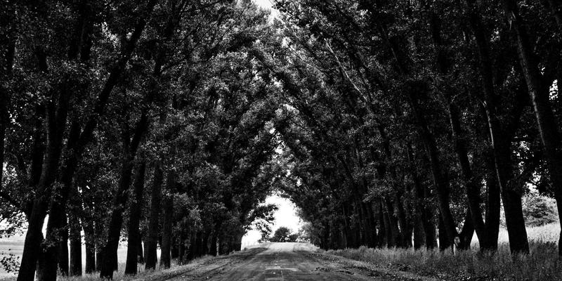 WWWSC99A6：构建温馨网站的资源索引与设计哲学