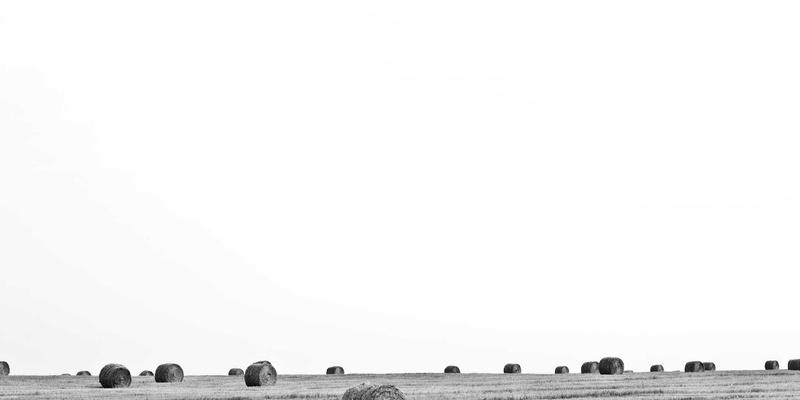 WWWSC99A79：打造温馨高效的数字家园，资源导航与信息门户的融合之道