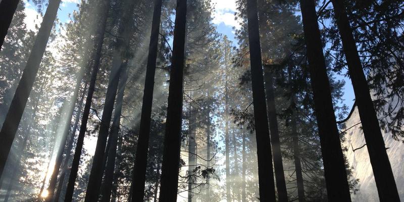 WWWSC99A80全面解析：一站式综合信息与实用工具指南