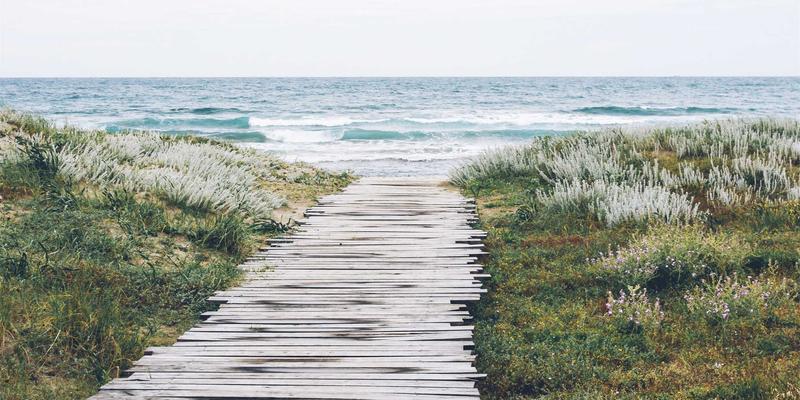 WWWSC99A95：打造温馨网络家园，一站式资源导航指南