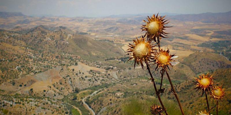 WWWSC99A96全面解析：综合信息平台与实用工具的融合创新