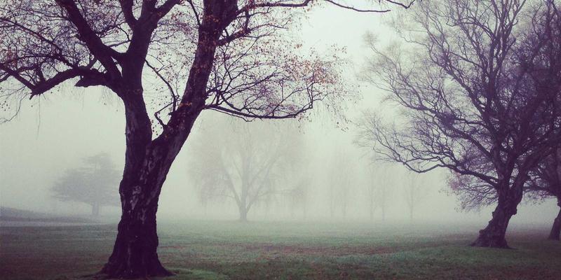 WWWSC99A协议：车联网(V2X)通信的关键导航与温馨网站资源整合