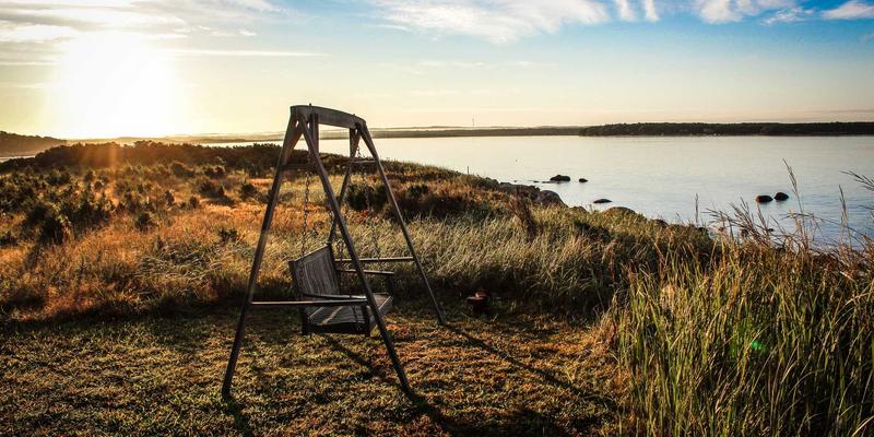 WWWSC99A发展解析：从资源导航到智能索引的演进之路