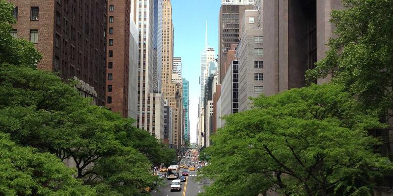 WWWSC99A如何通过资源索引与导航，成为智慧城市环境监测的智慧大脑