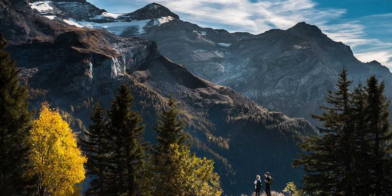 WWWSC99A推荐：探索这个温馨综合信息门户的独特魅力