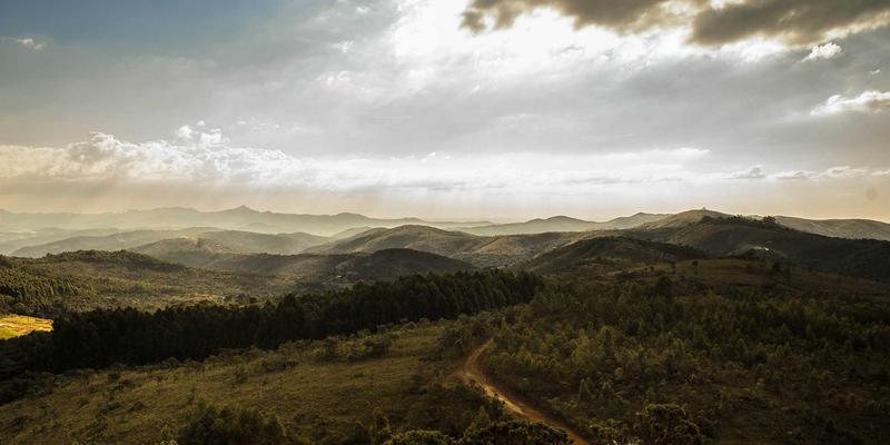 WWWSC99A模块嵌入式开发全攻略：构建温馨网站与信息门户的核心技术