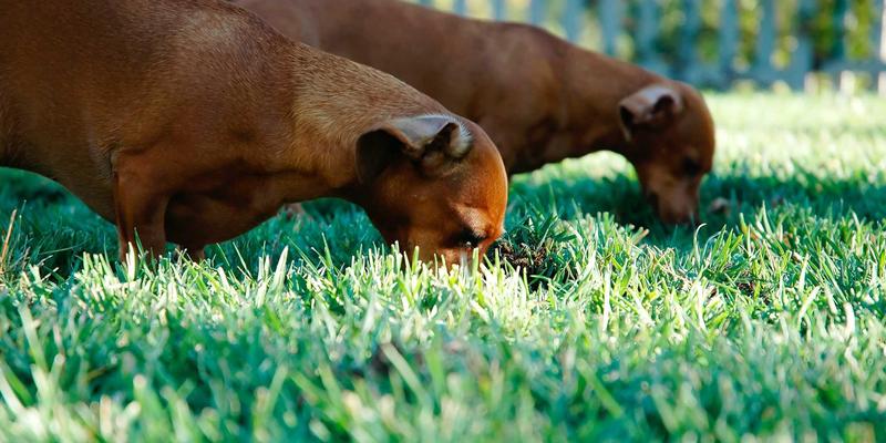 WWWSC99A模块电源管理与噪声抑制技术深度解析：为您的温馨网站与实用工具打造稳定基石