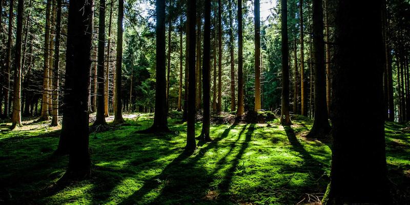 WWWSC99A硬件安全机制深度解析：构建信息门户的加密引擎与安全启动实践