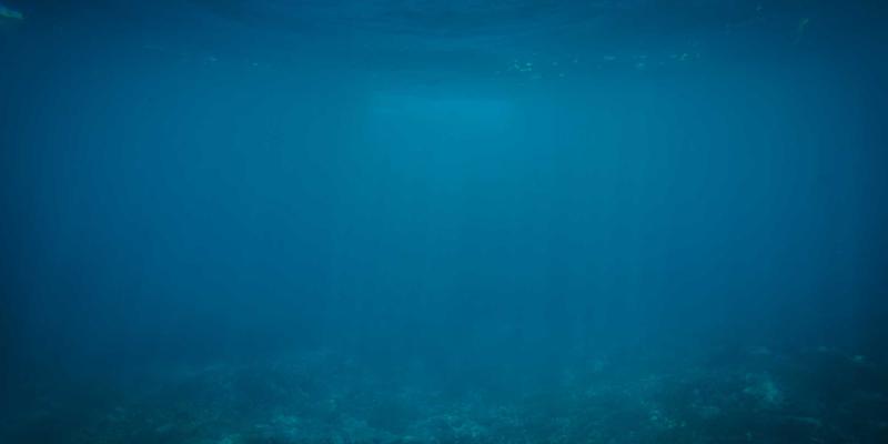 WWWSC99A：边缘计算时代的实用工具与温馨信息门户