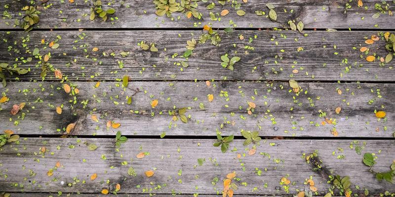 WWWSC99A远程传感器数据采集全攻略：从资源索引到实用工具的高效应用