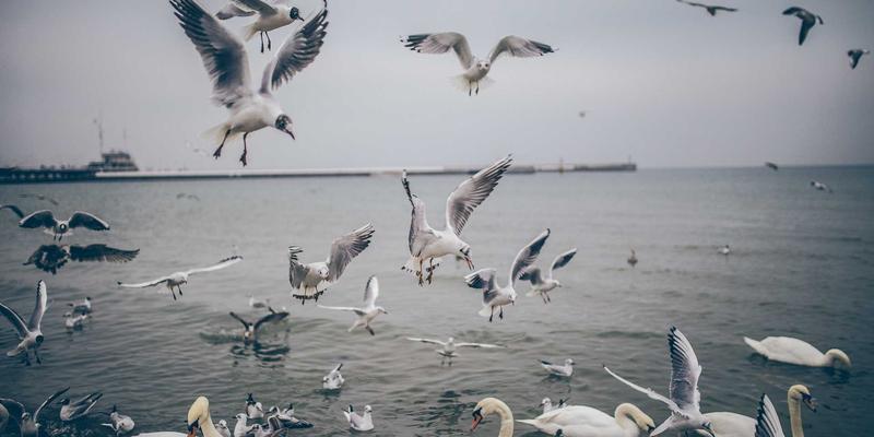 基于WWWSC99A的冷链物流实时温湿度追踪系统架构设计：打造高效信息门户与资源导航的温馨网站